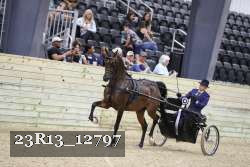 23R13_12797 thumbnail