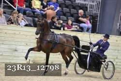 23R13_12798 thumbnail