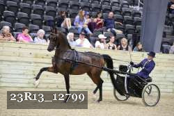 23R13_12799 thumbnail