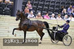 23R13_12800 thumbnail