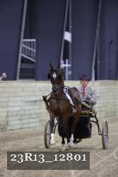 23R13_12801 thumbnail