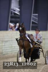23R13_12802 thumbnail