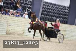 23R13_12803 thumbnail
