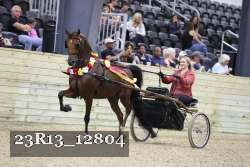 23R13_12804 thumbnail