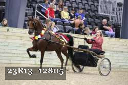 23R13_12805 thumbnail