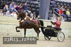 23R13_12806 thumbnail