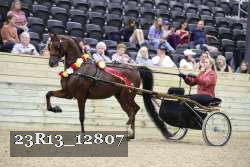 23R13_12807 thumbnail
