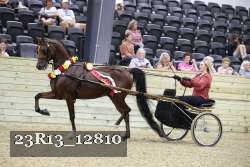 23R13_12810 thumbnail
