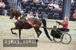 23R13_12811 thumbnail
