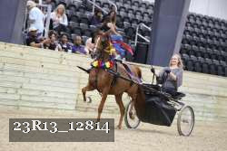23R13_12814 thumbnail