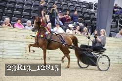 23R13_12815 thumbnail