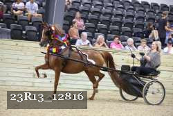 23R13_12816 thumbnail