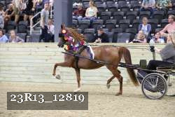 23R13_12819 thumbnail