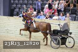 23R13_12820 thumbnail