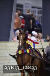 23R13_12823 thumbnail