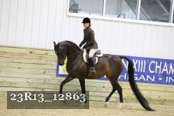 23R13_12863 thumbnail