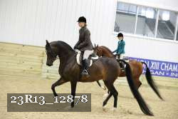 23R13_12878 thumbnail