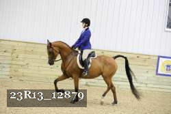 23R13_12879 thumbnail