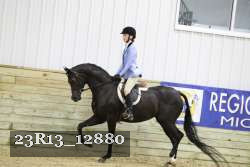 23R13_12880 thumbnail