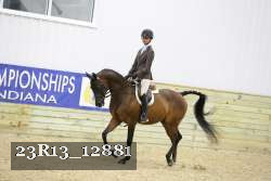 23R13_12881 thumbnail