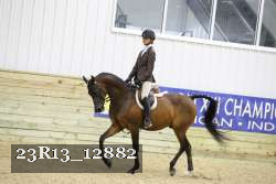 23R13_12882 thumbnail