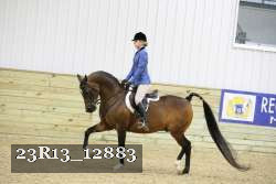 23R13_12883 thumbnail
