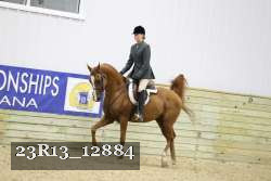 23R13_12884 thumbnail