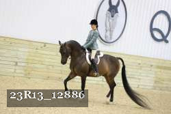 23R13_12886 thumbnail