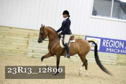23R13_12890 thumbnail
