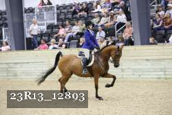 23R13_12893 thumbnail