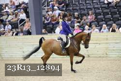 23R13_12894 thumbnail