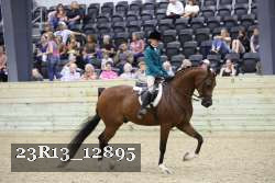 23R13_12895 thumbnail
