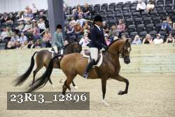 23R13_12896 thumbnail