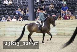 23R13_12897 thumbnail