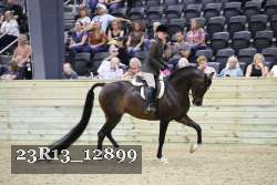 23R13_12899 thumbnail