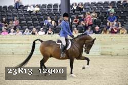 23R13_12900 thumbnail