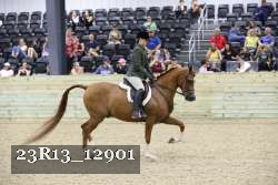 23R13_12901 thumbnail