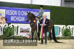 23R13_12910 thumbnail