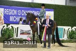 23R13_12911 thumbnail