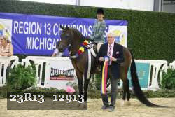 23R13_12913 thumbnail