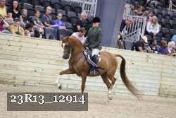 23R13_12914 thumbnail