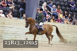 23R13_12915 thumbnail
