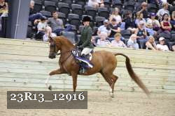 23R13_12916 thumbnail