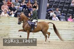 23R13_12917 thumbnail