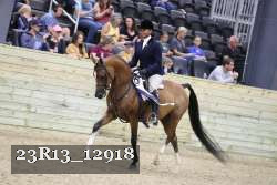 23R13_12918 thumbnail
