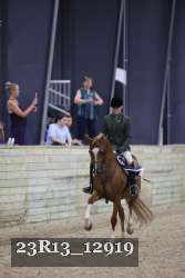 23R13_12919 thumbnail