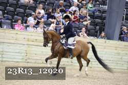 23R13_12920 thumbnail