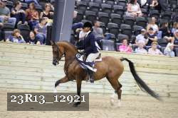 23R13_12921 thumbnail