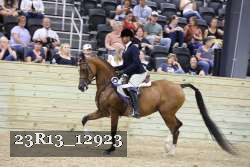 23R13_12923 thumbnail