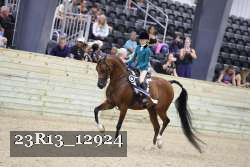 23R13_12924 thumbnail